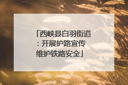 西峡县白羽街道：开展护路宣传 维护铁路安全