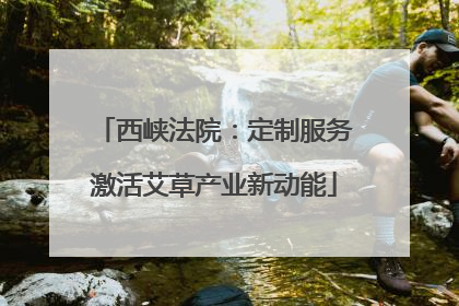西峡法院：定制服务激活艾草产业新动能