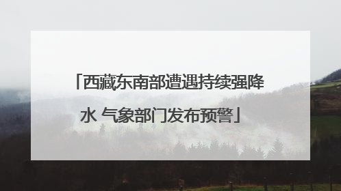 西藏东南部遭遇持续强降水 气象部门发布预警