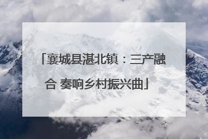 襄城县湛北镇：三产融合 奏响乡村振兴曲