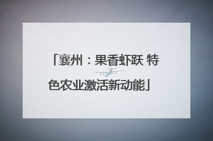 襄州：果香虾跃 特色农业激活新动能