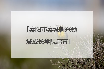襄阳市襄城新兴领域成长学院启幕
