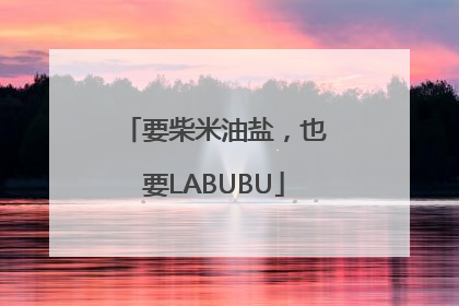 要柴米油盐，也要LABUBU