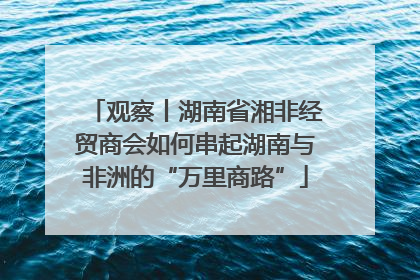 观察丨湖南省湘非经贸商会如何串起湖南与非洲的“万里商路”
