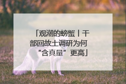 观潮的螃蟹丨干部回故土调研为何“含真量”更高