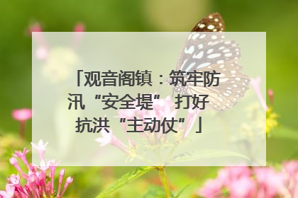 观音阁镇：筑牢防汛“安全堤” 打好抗洪“主动仗”
