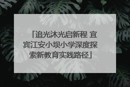 追光沐光启新程 宜宾江安小坝小学深度探索新教育实践路径