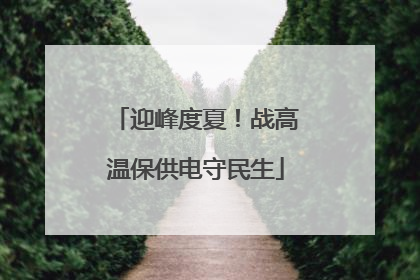 迎峰度夏！战高温保供电守民生