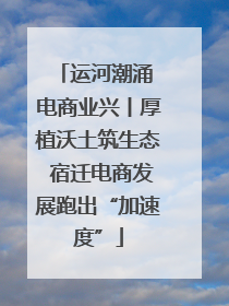 运河潮涌 电商业兴丨厚植沃土筑生态 宿迁电商发展跑出“加速度”