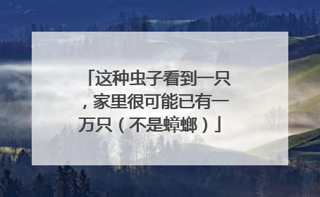 这种虫子看到一只，家里很可能已有一万只（不是蟑螂）