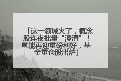 这一领域火了，概念股连夜批量“澄清”！氢能再迎重磅利好，基金重仓股出炉