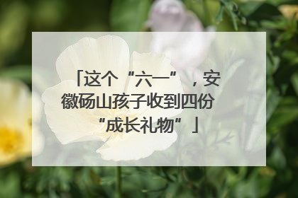 这个“六一”，安徽砀山孩子收到四份“成长礼物”