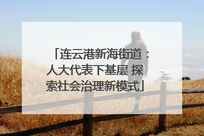 连云港新海街道：人大代表下基层 探索社会治理新模式