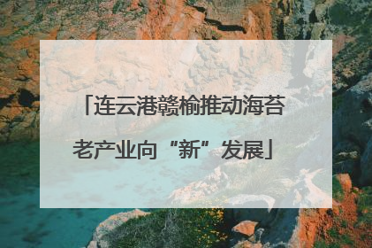连云港赣榆推动海苔老产业向“新”发展