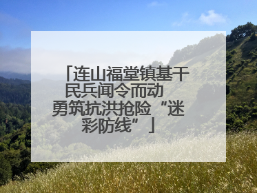 连山福堂镇基干民兵闻令而动  勇筑抗洪抢险“迷彩防线”
