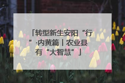 转型新生安阳“行”·内黄篇丨农业县有“大智慧”