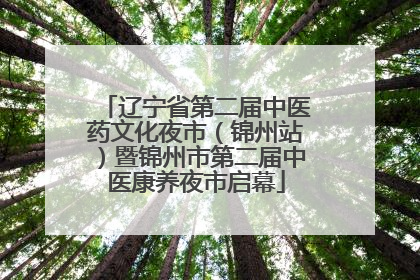 辽宁省第二届中医药文化夜市（锦州站）暨锦州市第二届中医康养夜市启幕
