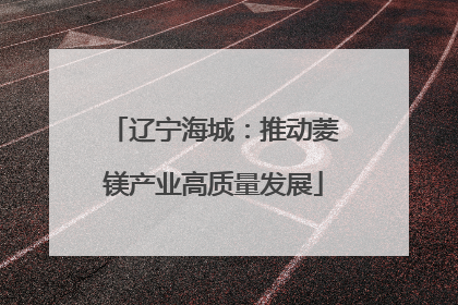 辽宁海城：推动菱镁产业高质量发展