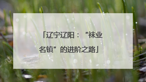 辽宁辽阳：“袜业名镇”的进阶之路