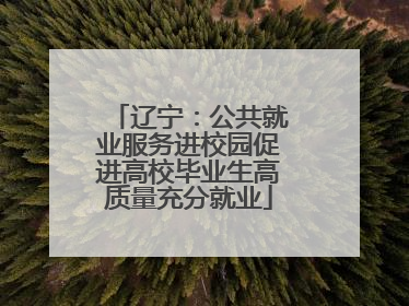 辽宁：公共就业服务进校园促进高校毕业生高质量充分就业