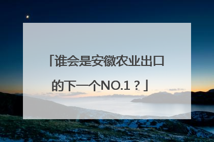 谁会是安徽农业出口的下一个NO.1？