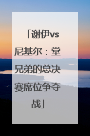 谢伊vs尼基尔：堂兄弟的总决赛席位争夺战