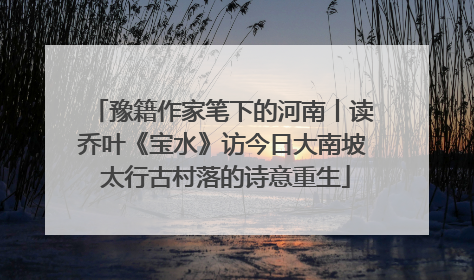 豫籍作家笔下的河南丨读乔叶《宝水》访今日大南坡 太行古村落的诗意重生