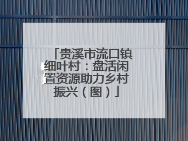 贵溪市流口镇细叶村：盘活闲置资源助力乡村振兴（图）