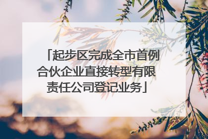 起步区完成全市首例合伙企业直接转型有限责任公司登记业务