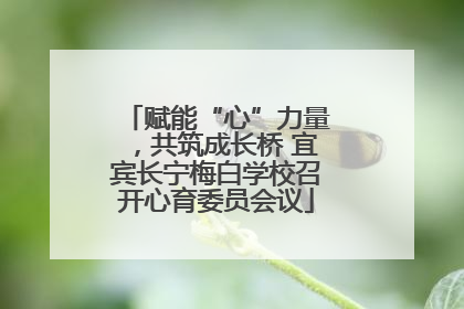 赋能“心”力量，共筑成长桥 宜宾长宁梅白学校召开心育委员会议