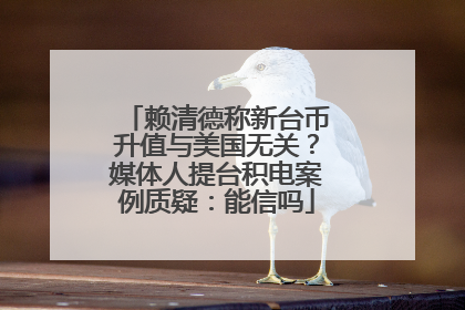 赖清德称新台币升值与美国无关？媒体人提台积电案例质疑：能信吗