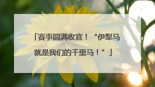 赛事圆满收官！“伊犁马就是我们的千里马！”