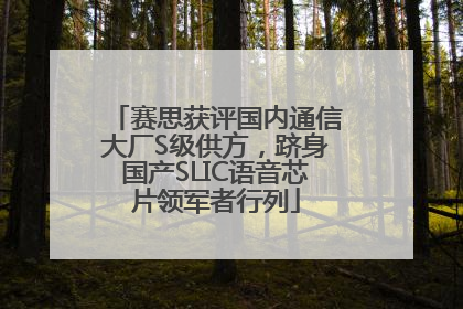 赛思获评国内通信大厂S级供方，跻身国产SLIC语音芯片领军者行列