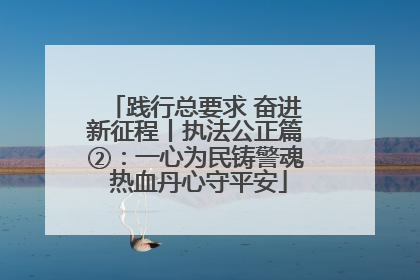 践行总要求 奋进新征程丨执法公正篇②：一心为民铸警魂 热血丹心守平安