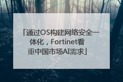 通过OS构建网络安全一体化，Fortinet看重中国市场AI需求