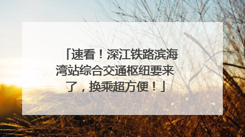 速看！深江铁路滨海湾站综合交通枢纽要来了，换乘超方便！