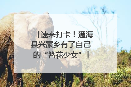 速来打卡！通海县兴蒙乡有了自己的“簪花少女”
