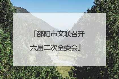 邵阳市文联召开六届二次全委会