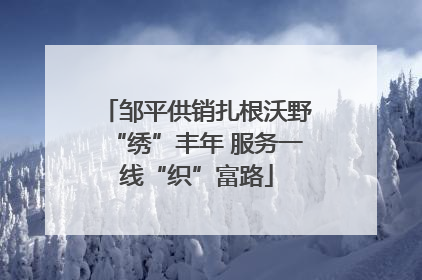 邹平供销扎根沃野“绣”丰年 服务一线“织”富路