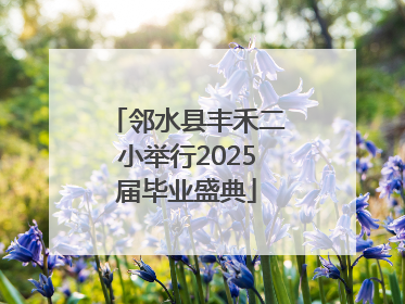 邻水县丰禾二小举行2025届毕业盛典