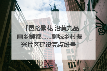 邑路繁花 沿黄九品 画乡鲤都……聊城乡村振兴片区建设亮点纷呈