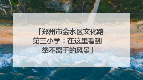 郑州市金水区文化路第三小学：在这里看到拳不离手的风景