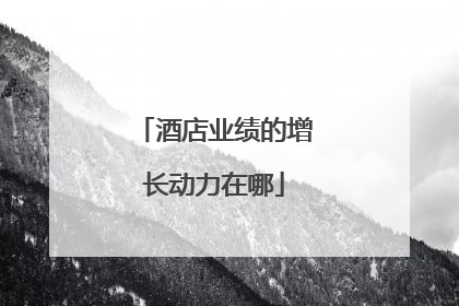酒店业绩的增长动力在哪