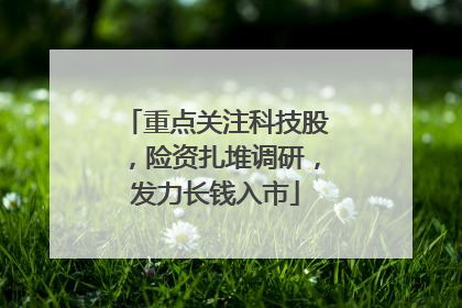 重点关注科技股，险资扎堆调研，发力长钱入市