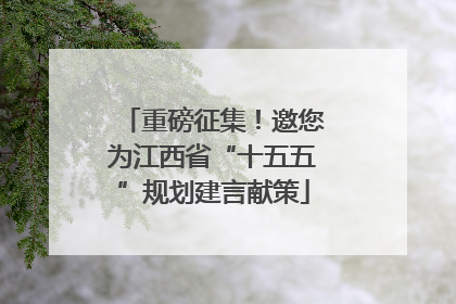 重磅征集！邀您为江西省“十五五”规划建言献策