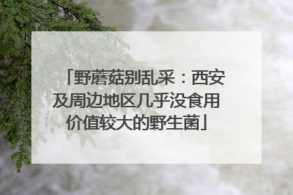 野蘑菇别乱采：西安及周边地区几乎没食用价值较大的野生菌