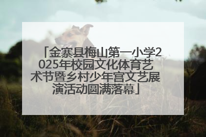 金寨县梅山第一小学2025年校园文化体育艺术节暨乡村少年宫文艺展演活动圆满落幕