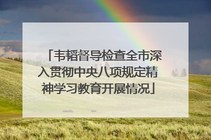 韦韬督导检查全市深入贯彻中央八项规定精神学习教育开展情况