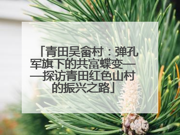 青田吴畲村：弹孔军旗下的共富蝶变——探访青田红色山村的振兴之路