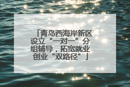 青岛西海岸新区设立“一对一”分组辅导，拓宽就业创业“双路径”